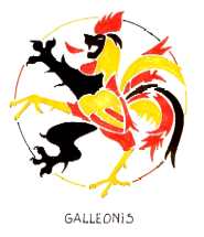 Galleonis